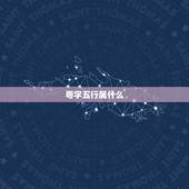 粤字五行属什么，粤字属金吗？