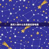 属虎人做什么生意最旺做电商，属虎的人做生意起什么字带来财运