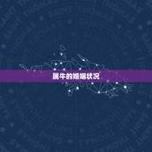 属牛的婚姻状况，2022年属牛婚姻状况
