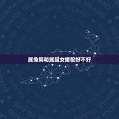 属兔男和属鼠女婚配好不好，属兔和属鼠相配吗？为什么？