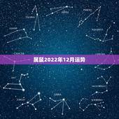 属鼠2022年12月运势，算命2021年运势属鼠