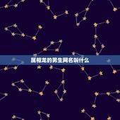 属相龙的男生网名叫什么，属龙 男孩取什么名字好