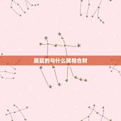 属鼠的与什么属相合财，属鼠和什么属相不合