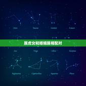 属虎女和婚姻属相配对，男74年属虎的和女88年属龙相配写