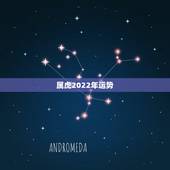 属虎2022年运势 36岁属虎人2022年运势