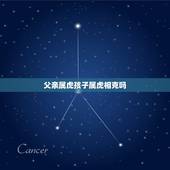 父亲属虎孩子属虎相克吗 父子两个都属虎的好吗