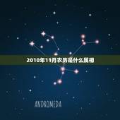 2010年11月农历是什么属相，九月份属什么生肖