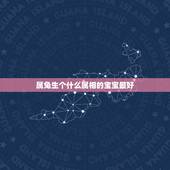 属兔生个什么属相的宝宝最好，属兔的父母生个什么属相的孩子比较好？