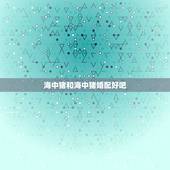 海中猪和海中猪婚配好吧，属猪和属猪相配吗