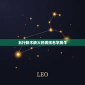 五行缺木缺火的男孩名字属牛 补五行缺木缺火的名字