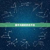 属牛与属蛇的合不合，牛跟蛇属相合不合