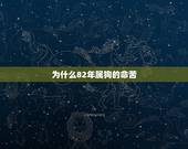 为什么82年属狗的命苦，1982属狗2022 最危险的一个月