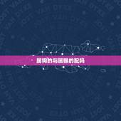 属狗的与属猴的配吗，属猴男和属狗女配吗