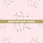 属虎的今年多大是哪一年出生的，十二生肖属虎是多少年生的？
