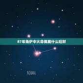 87年兔炉中火命佩戴什么旺财，87年炉中火命属兔戴什么