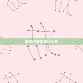 属羊的终生带什么好，属羊的戴什么最招财