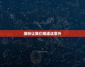 缘份让我们相遇这意外，缘分让我们相遇的是意外这句歌词的歌曲名叫什么