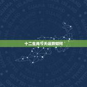 十二生肖今天运势如何，十二生肖在一年中的运气怎么样