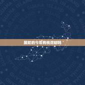 属蛇的今年有桃花劫吗，属蛇桃花劫是那几年