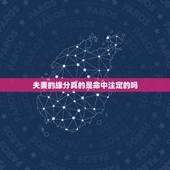 夫妻的缘分真的是命中注定的吗，将来会跟谁结婚真的是命定的缘分吗？这世间