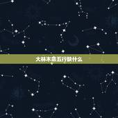 大林木命五行缺什么，1989年大林木命缺什么