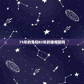 75年的兔和83年的猪相配吗，75年属兔和83年属猪相配吗？