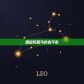 属蛇和属马的合不合，蛇和马属相合不合