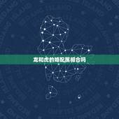 龙和虎的婚配属相合吗，属虎可以与属龙的相配吗