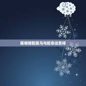 属相婚配属马与蛇命运怎样，属蛇和属马相配吗？