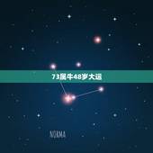 73属牛48岁大运，73年属牛的更大劫数