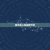 属牛的人命运好不好，属牛的人命苦吗