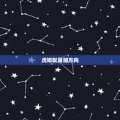 虎婚配属相方向，属虎的和什么属相最配 属相婚配