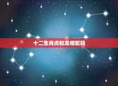 十二生肖虎和龙相配吗，生肖虎和龙配吗？