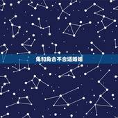 兔和兔合不合适婚姻，属兔和属兔的合财吗