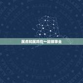 属虎和属鸡在一起做事业，1986年属虎的贵人属鸡
