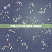属牛人2022年运势及运程详解，属牛人2022 年运势运程每月