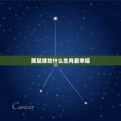 属鼠嫁给什么生肖最幸福，属鼠的和属鼠的人结婚好不好