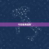 今日生肖运势，十二生肖2018年运势