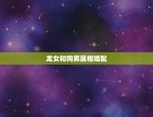 龙女和狗男属相婚配，属狗男和属龙女能过一辈子吗？
