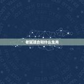 老鼠适合和什么生肖，生肖鼠和什么生肖相冲