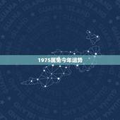 1975属免今年运势，1975属兔46岁以后运气