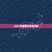 2022年属猪的运势运程，2021属猪人全年运势