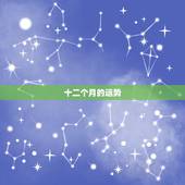 十二个月的运势，属猴的人在鼠年的十二个月运程