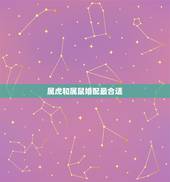 属虎和属鼠婚配最合适，虎男和鼠女在一起后果