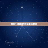 属蛇11月份的财运幸运数字，属蛇2022 下半年运势