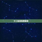 十二生肖免费算命 ，2022 年各生肖运势