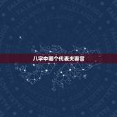 八字中哪个代表夫妻宫，八字夫妻宫怎么看