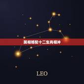 属相婚配十二生肖相冲，生肖相冲，星座相配能在一起吗？