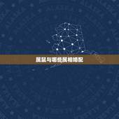 属鼠与哪些属相婚配，属鼠的属相婚配表 男女属鼠的和什么属相最配
