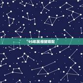 95年属相猪婚配，95年属猪的8月份和什么属相最配